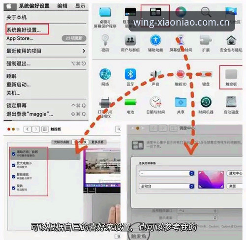 小鸟平台使用教程 小鸟平台使用教程:如何通过官方渠道追踪托纳利与埃德松转会动态
