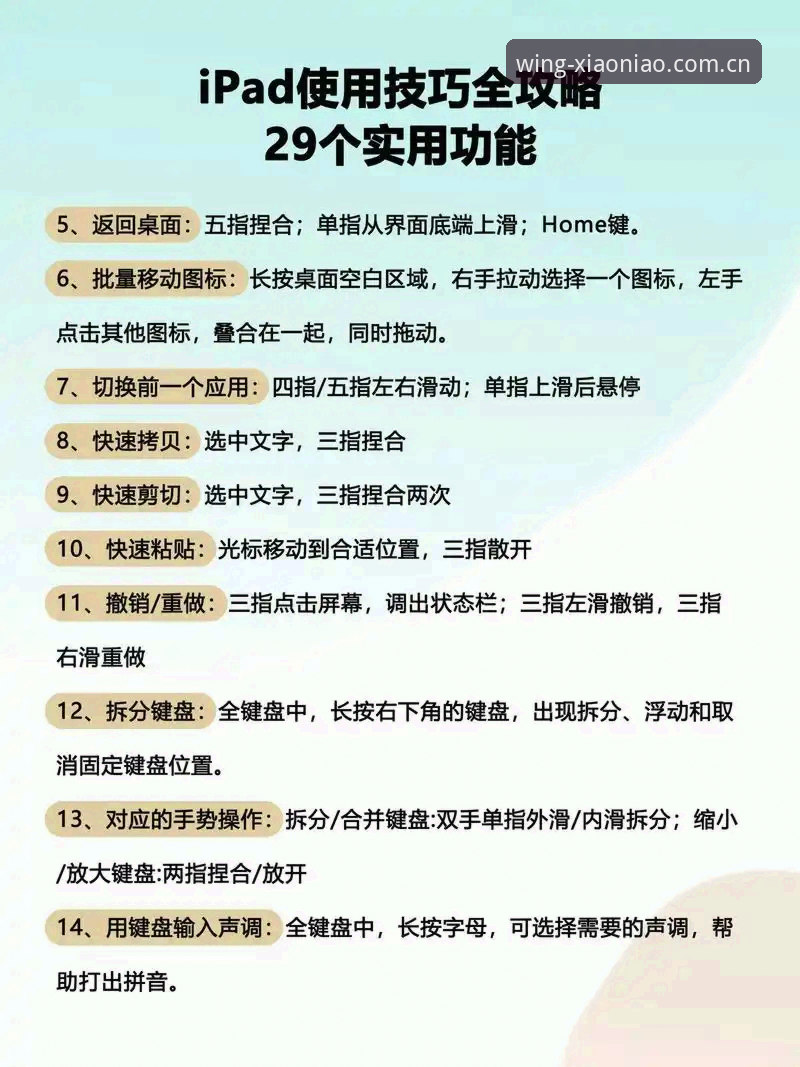 小鸟平台服务安装教程：从入门到精通的操作指南